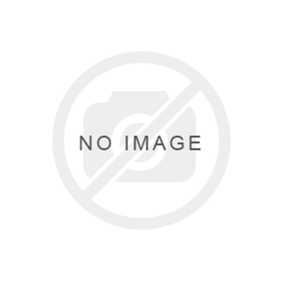 Picture of Wood-Mizer Pallet Dismantler Blade